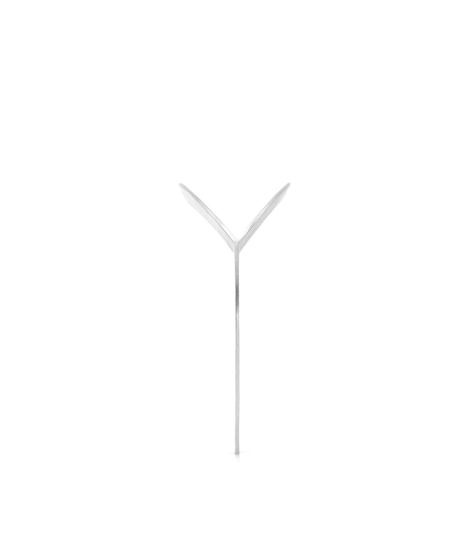 Y