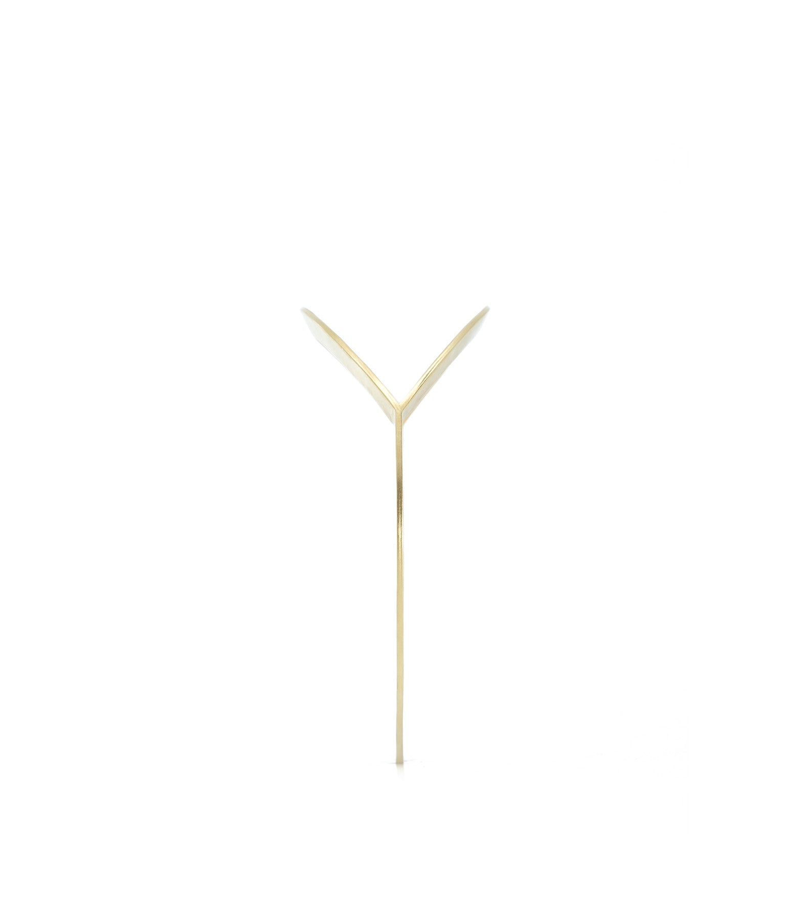 Y